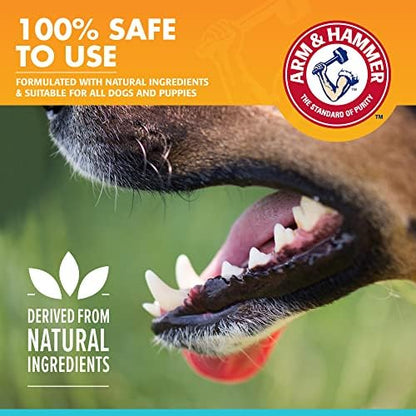 Arm & Hammer Dog Oral Care Breath Spray, Mint Flavor, 4 Fl Oz Bottle, 24-Pk