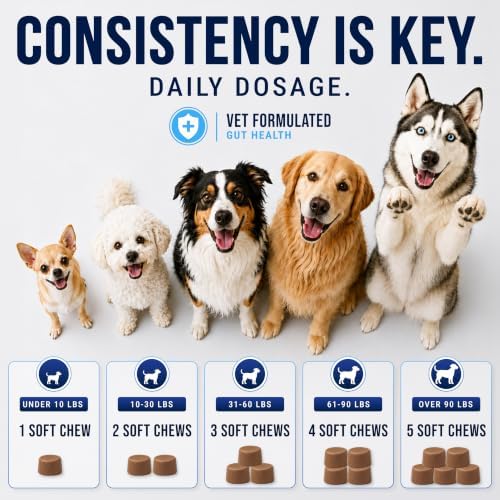 Probiotics for Dogs - Dog Probiotics with Digestive Enzymes, Soft Chews