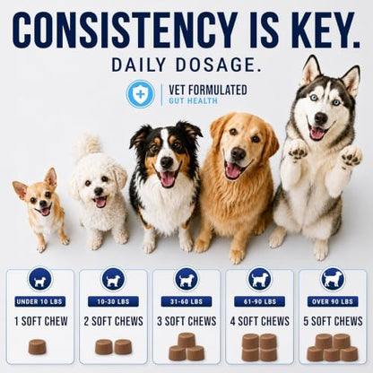 Probiotics for Dogs - Dog Probiotics with Digestive Enzymes, Soft Chews