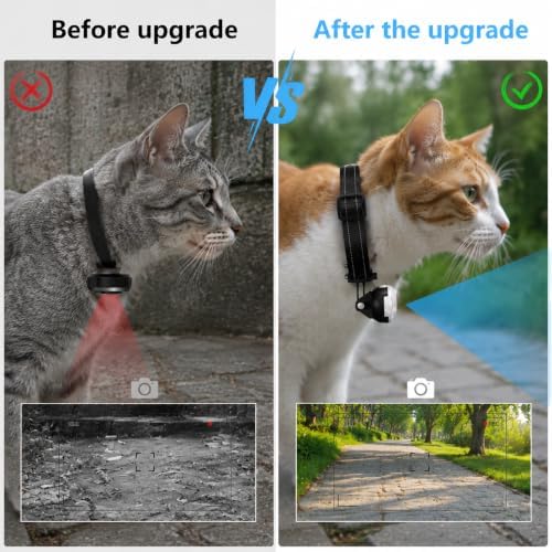 HD 1080P Cat Camera Collar with Video Record Wireless Mini Sport cam,Small Action Cameras,Body Camera for Pet Supplies Stuff Outdoor/Inoor Birthday Gift No WiFi（Black）