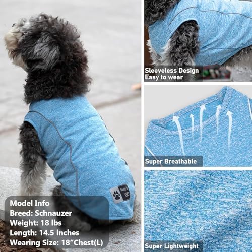 KYEESE 2Pack Reflective Dog Shirt, Lightweight Sun Protection Dog T Shirts for Small Dogs Boy, Breathable Sleeveless Puppy Tank Top Summer Dogs Clothes for Night Walking Outdoor, Grey+Blue, S