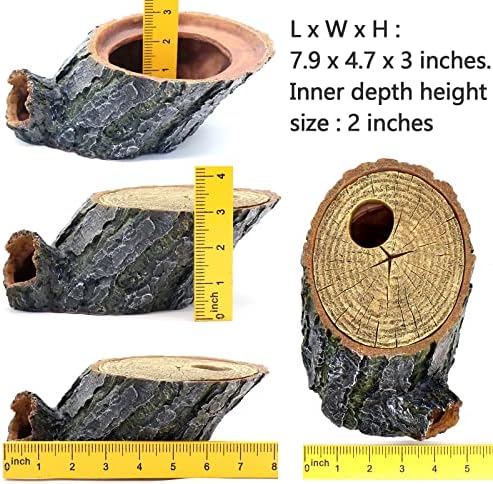 Snake Hide and Basking Tree Roots Cave for Terrariums, Available for Climbing and Hiding Spots for Reptiles, Amphibians, and Small Animals, Corn Snake, Small Gecko