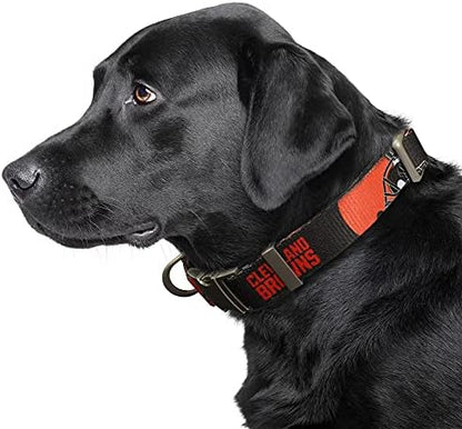 Littlearth NFL Detroit Lions Pet Premium Collar, Team Color, Small