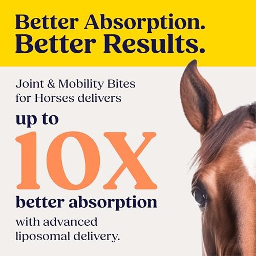 Summit Equine Joint & Mobility Bites Daily Supplement for Horses, Liposomal Delivery, Max Absorption, Vet Recommended, All-Natural Ingredients, 100% Drug-Free, Healthy Joints - 30 Bites