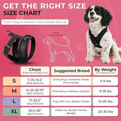 Gooby Black X-Large Polyester Comfort X Harness for Small Dogs, No Pull, Choke-Free, Lightweight Mesh, Machine Washable