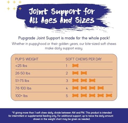 PupGrade Joint Support for Dogs, Beef Flavor - 180 Soft Chews