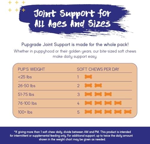 PupGrade Joint Support for Dogs, Beef Flavor - 360 Soft Chews