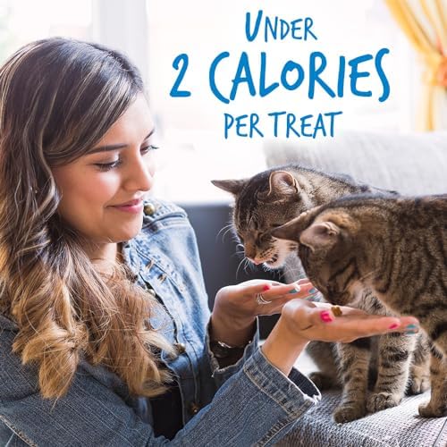 Fruitables Crunchy Low Calorie Treats Packed with Protein for Cats Healthy Free of Wheat, Corn and Soy – Made with Real Chicken with Blueberry – 2.5 Ounces (Pack of 2)