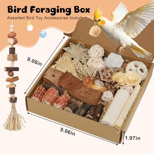 Bird Toys Natural Parrot Foraging Box with DIY Hanging String