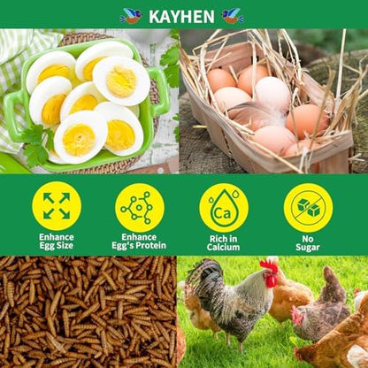 Dried Black Soldier Fly Larvae Treats for Chickens Wild Birds Ducks 5LB