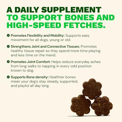 Get Joy Mobility Chew, Hip & Joint Supplement for Dogs, Vet Recommended Soft Daily Activity & Flexibility Support with Glucosamine, MSM & Green-Lipped Mussel, Made in USA, 90 Count
