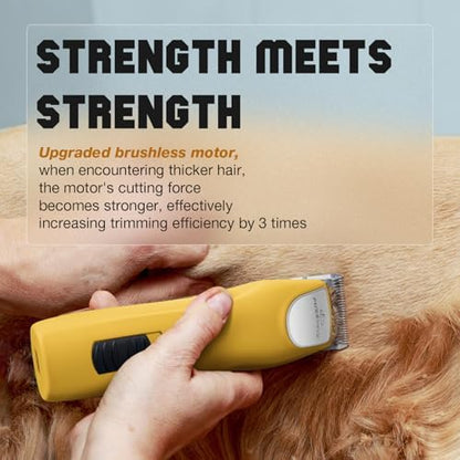 Professional Dog Grooming Clippers 2-Speed Detachable 10# Blade
