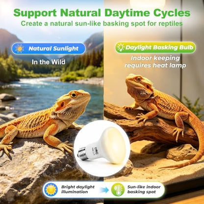LUCKY HERP Reptile Heat Lamp Bulbs 100W, UVA Daylight Basking Bulbs 2 Pack