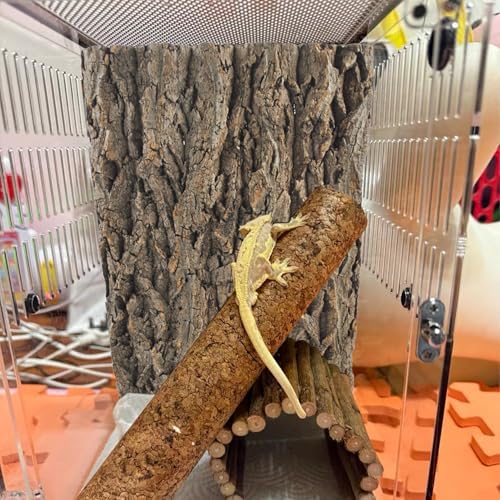 4PCS Reptile Tank Background,11.81 x 11.81 Inch Terrarium Cork Bark Background Bearded Dragon Tank Backdrop Natural Reptile Cork Bark Mat for Lizard Gecko Chameleon Tortoise Snake Spider Frog