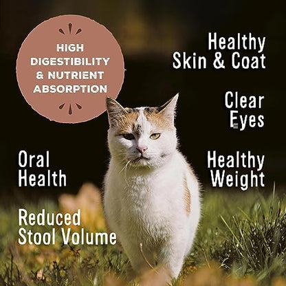 Primal Freeze Dried Raw Cat Food Nuggets, Beef & Salmon, 5.5 oz