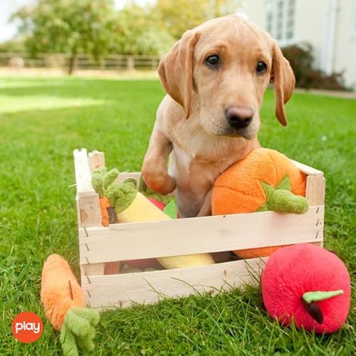 P.L.A.Y. Cute Plush Dog Toys - Fruit & Vegetable Themed Durable Squeaker Chew Toy, Great for Puppies & Small, Medium, Large Dogs - Machine Washable, Recycled Materials (Garden Fresh Apple, X-Small)