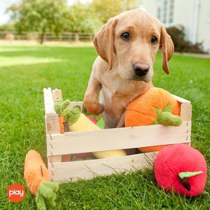 P.L.A.Y. Cute Plush Dog Toys - Fruit & Vegetable Themed Durable Squeaker Chew Toy, Great for Puppies & Small, Medium, Large Dogs - Machine Washable, Recycled Materials (Garden Fresh Apple, X-Small)