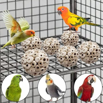 LWINGFLYER 6 Pieces Sola Atta Ball Parrot Biting Toy Bird Chew Accessories Natural Sola Plant Material for Birds, Rabbits, Hamsters and Small Pets.