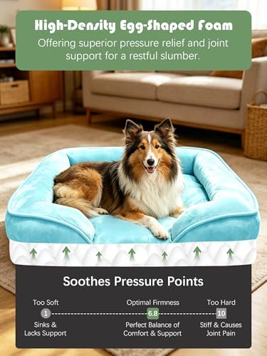 Spotted Play Orthopedic Dog Bed with Sides - Sofa Beds for Large Dogs, Supportive Foam Pet Couch Bed with Washable Removable Cover, Waterproof Lining and Non-Slip Bottom, Ice Blue - L-Plus
