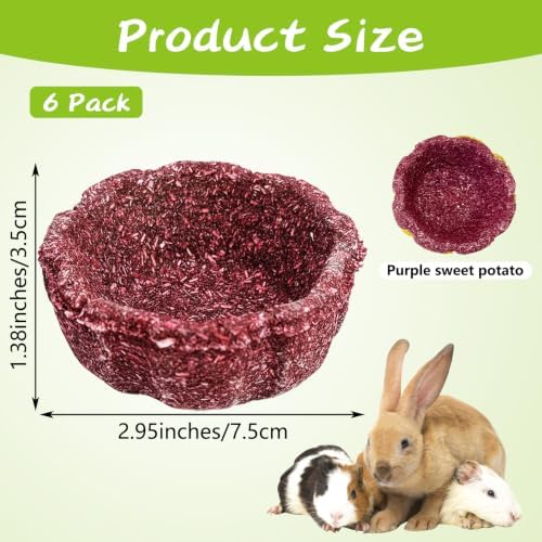 12 Pack Rabbit Chew Toys for Teeth Natural Guinea Pig Toys