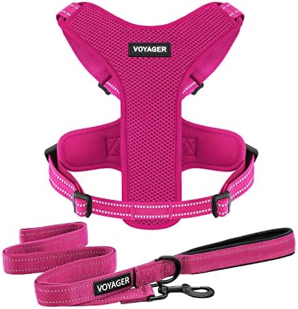 Best Pet Supplies Reflective Dog Leash Set, Reflective Stitching, and Lightweight Breathable No-Pull Design, Adjustable Neck and Chest Straps for Small to Large Breeds - FSW, S
