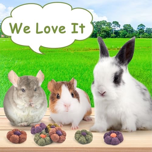 ERKOON Rabbit Chew Toys, 10PCS 1.77“ Timothy Grass Treats Small Animal Molar Toys for Guinea Pig Hamster Bunny Chinchilla Gerbil, Handmade Rabbit Chews and Treats