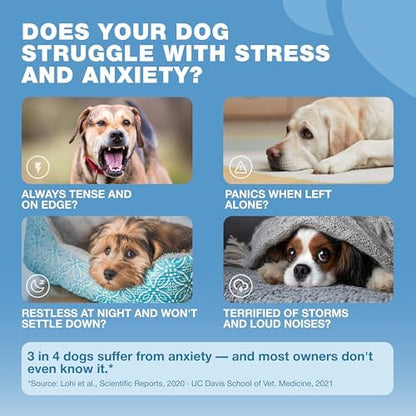 Hemp Calming Chews for Dogs Anxiety Relief & Calming Treats with Melatonin