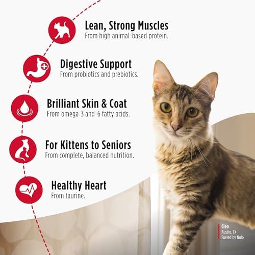 Nulo Freestyle Cat & Kitten Dry Food - Turkey & Duck Recipe, High Protein Grain Free Cat Food, Natural Kibble with Probiotics & Omega Fatty Acids, 4lb Bag