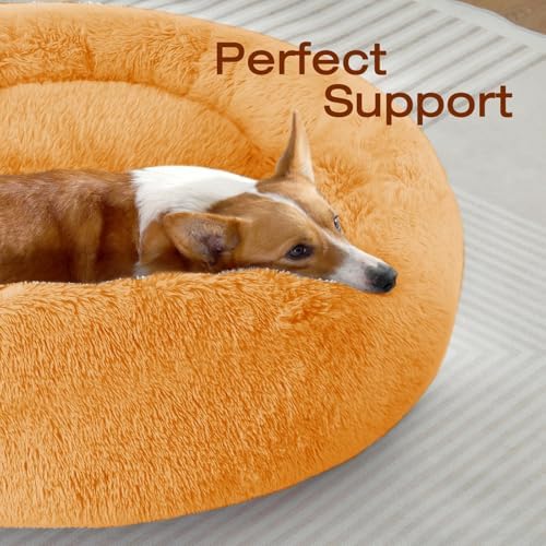 JOLLYVOGUE Dog Beds Large Sized Dog, 36 inches Calming Soft Anti-Anxiety Donut Dogs Bed, Washable Round Fluffy Cushion for Large Pets, Fits up to 80 lbs Pets