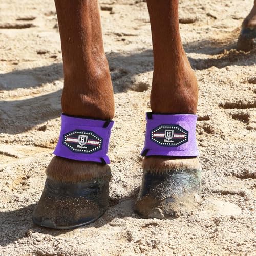 Harrison Howard Long-Lasting Shock-Absorbent Breathable Impact Protection Pastern Wraps for Horse Sold in Pairs-Purple