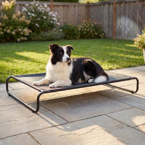 Veehoo Cooling Elevated Dog Bed, Outdoor Raised Dog Bed for Large Dogs
