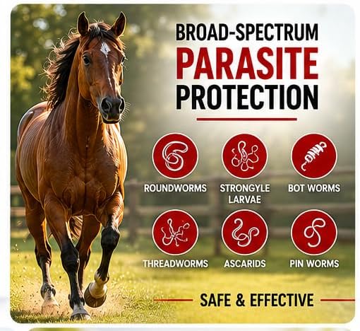 Horse Paste Ivermectin 1.87% | Apple Flavored – 6.08g Syringe for Equine Use Only Up to 1250 LB