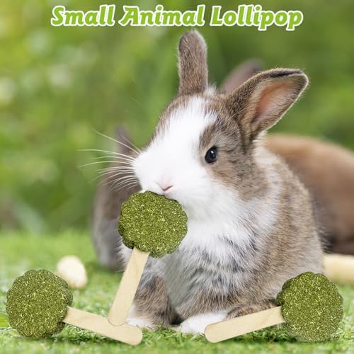 Hamiledyi Bunny Chew Toys for Teeth Natural Rabbit Lollipop Chewing Sticks Hamster Timothy Grass Molar Toy Chews and Snacks for Guinea Pig Chinchilla Gerbil (Timothy Grass,10Pcs)