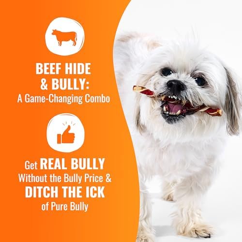 GOOD 'N' FUN Twists Long-Lasting Dog Treat with Real Bully, 6 Count