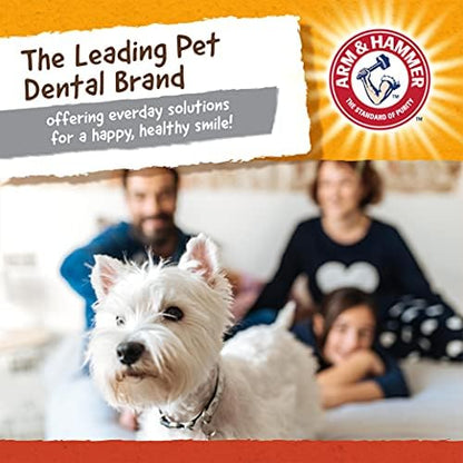 Arm & Hammer Super Treadz Mini Gorilla Dental Chew Toy, Small, 3.5 in, 24Pk