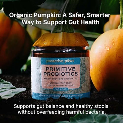 PROACTIVE PAWS Primitive Probiotics for Dogs – Species-Specific & Soil-Based Dog Probiotic Supplement for Gut Health, Digestion, Immune & Calming Support – 90 Scoops