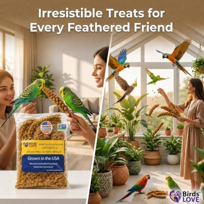 Birds LOVE® Millet Tips & Tails for Birds – Premium Spray Millet Treat, Grown in the USA – Natural & Healthy Bird Food for Parakeets, Cockatiels, Budgies, Lovebirds, Finches, Canaries & Parrots – 1 lb