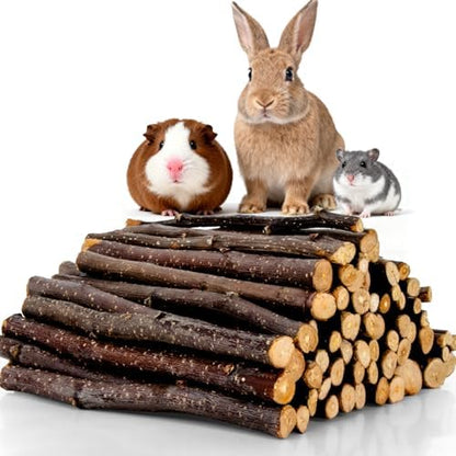 Sukh 340g Organic Apple Sticks - Natural Chew Sticks for Rabbits & Rodents
