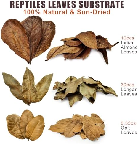 Dry Oak Leaf Litter for Reptiles,20Pcs Oak,30Pcs Longan & 10PCS Indian Almond Leaves,Leaf Litter Isopods Live Substrate Terrarium Bedding for Turtle,Snakes,Frogs,Isopod,Spider, Cricket