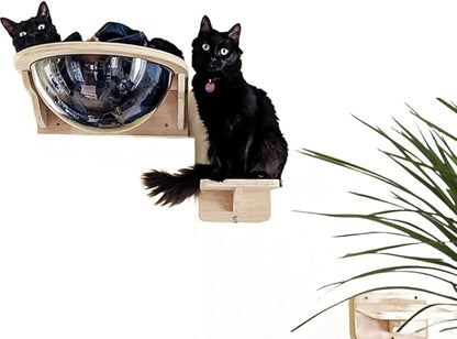 Black Large Cat Wall Shelves,Large Bed/Bubble for Cats Set Climbing Furniture, Wall Clear Cat Hammock Transparent Capsule Bed Set-1XL