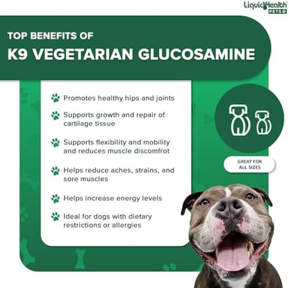 LIQUIDHEALTH Pets K9 Vegetarian Liquid Glucosamine Juice for All Dogs Canines with Chondroitin, MSM, Omega 3, Antioxidants, Hyaluronic Acid - Dog Vitamin Oil for Hip & Joint Health - USA Made (2 Pack)