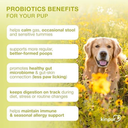 Probiotics for Dogs with Digestive Enzymes & Prebiotics - Sensitive Stomach
