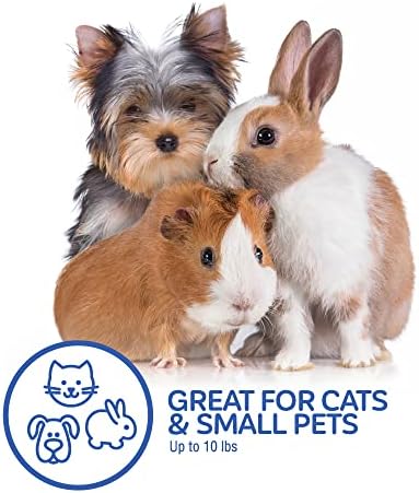 Petmate Top Load Plastic Cat Kennel, One-Door, 19in, Purple
