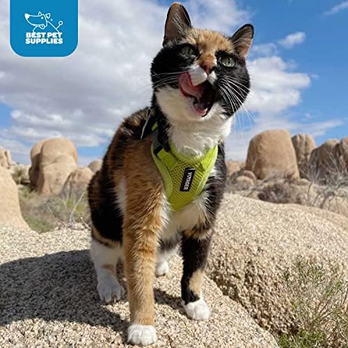 Best Pet Supplies Voyager Step-in Lock Pet Harness w Reflective Pet Leash Combo Set with Neoprene Handle 5ft - Supports Small, Medium and Large Breed Puppies/Cats - Orange/Black Trim, XXXS