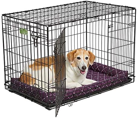 MidWest Homes for Pets 40236-PLD Quiet Time Couture Ashton Bolster Pet Bed, Large Dog/36, Plum