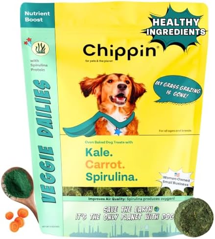 Chippin Healthy Dog Treats, All Natural Crunchy Biscuits with Real Spirulina, Kale, Oats, No Meat, Hypoallergenic, Vegan Treats for Puppy, Small, Large Dogs