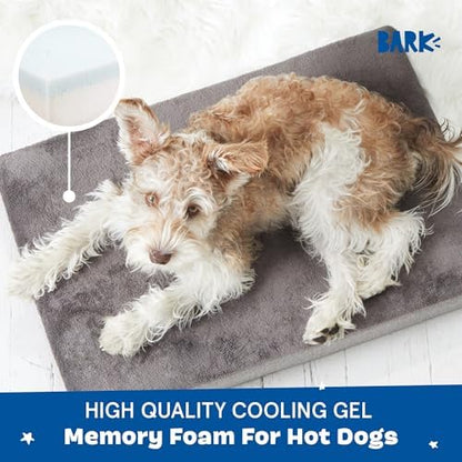 BarkBox Orthopedic Dog Bed - Small