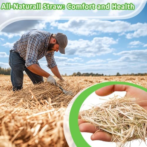 MAQIHAN 10.95 OZ Natural Straw Bedding - Organic Straw Mulch for Rabbits