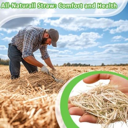 MAQIHAN 10.95 OZ Natural Straw Bedding - Organic Straw Mulch for Rabbits