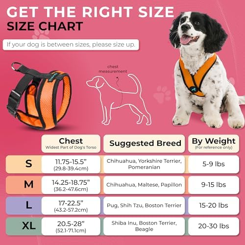 Gooby Comfort X Head-in Dog Harness, Choke-Free, Orange, Medium